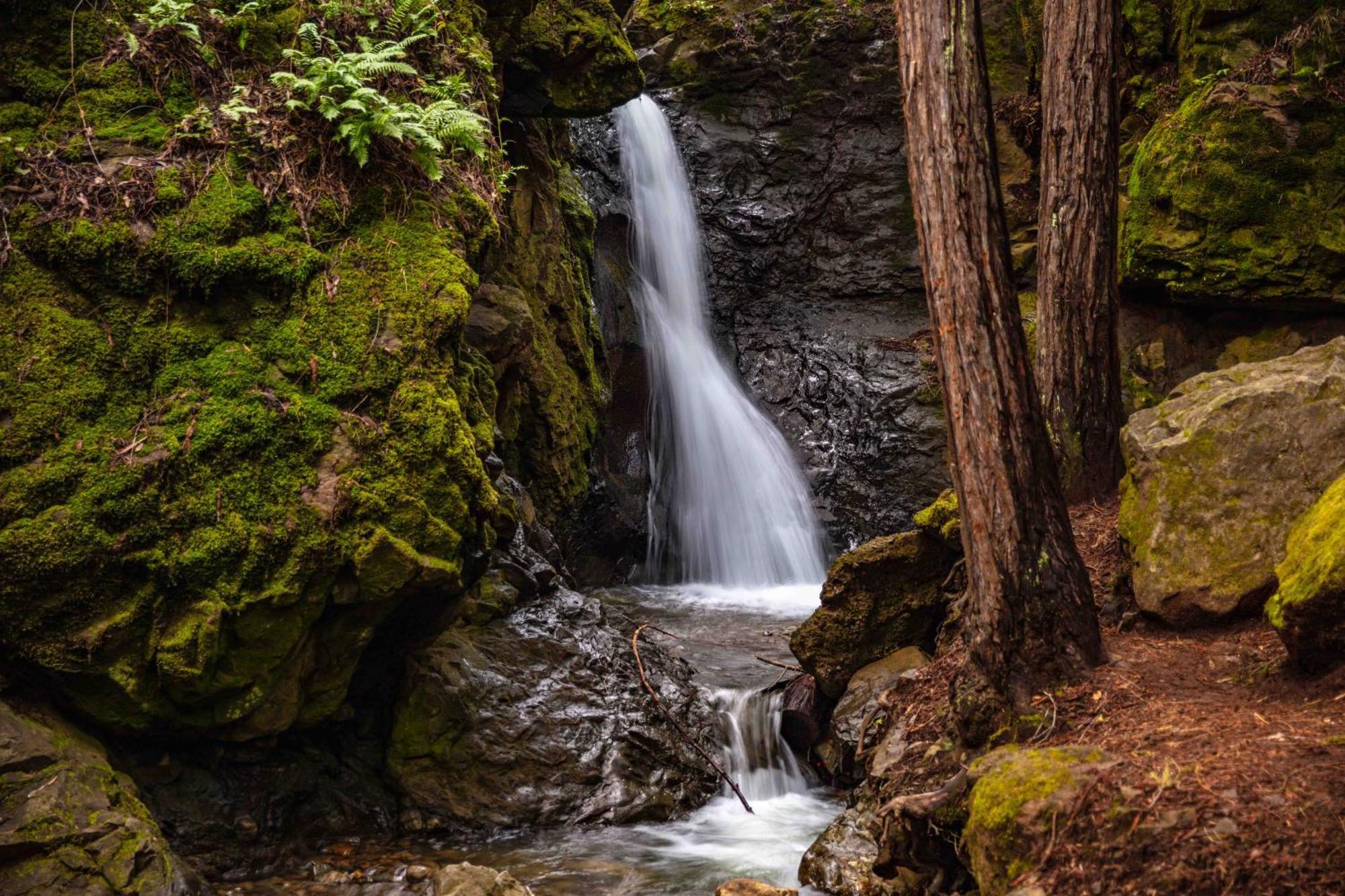 Enchanted Waterfall Sanctuary Мілл-Валлі Екстер'єр фото